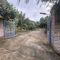 Chỉ 1,8 Triệu/M² - Sở Hữu Ngay 3.000M² Nhà Vườn Xinh Đẹp Thiên Nhiên Trong Tầm Tay