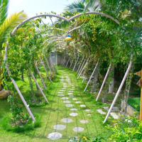 Gia Đình Em Cần Bán Một Gia Trang Rất Đẹp, Mặt Tiền Cao Bá Quát - Cầu Lùng Sổ Hồng Cln. 2, 2 Triệu/M2