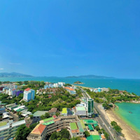 View Đông Nam Sát Căn Góc Biển Tòa Nhà Oc2B Mường Thanh Viễn Triều Full Nội Thất Đẹp 59 M2 Cần Bán