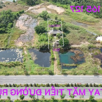 Bán Home Stay Mặt Tiền Rừng Sác, Xã Bình Khánh Cần Giờ Hcm - Ngang 18M Giá Chỉ 9.99 Triệu/M2