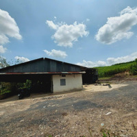Cho Thuê Xưởng 1500M2 Và 18500M2 Đất Tại Tân An, Vĩnh Cửu, Đồng Nai Chỉ 40 Triệu, Liên Hệ: 0906694959