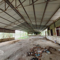 Cho Thuê Xưởng 1500M2 Và 18500M2 Đất Tại Tân An, Vĩnh Cửu, Đồng Nai Chỉ 40 Triệu, Liên Hệ: 0906694959