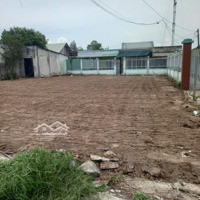 Đất Trồng Cây Thích Hợp Đầu Tư Ngay Sau Kcn Nhơn Trạch. 1200M2 Sổ Sẵn Có Sẵn 200M Thổ Cư Đường Oto