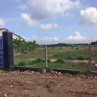Bán Đất Khu Phố Phước Hậu, Phường Gia Bình, Tx Trảng Bàng. Dt: 25X50M, Nở Hậu 33M, 2Tỷ 250 Triệu, Có Sổ