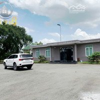 Cho Thuê Xưởng Cơ Khí 8.000M2 Phước Tân - Biên Hoà 210 Tr