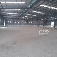 Cho Thuê Kho Xưởng 14.000M2 Mặt Tiền Võ Văn Bích, X. Bình Mỹ, Củ Chi