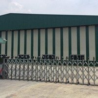 Cho Thuê Kho Xưởng 14.000M2 Mặt Tiền Võ Văn Bích, X. Bình Mỹ, Củ Chi