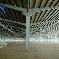 Cho Thuê Xưởng Trong Kcn Tam Phước Biên Hoà Chỉ 8031M2
