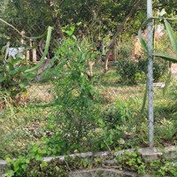 Bán Đất Tại Xã Nguyên Khê, Đông Anh, Hà Nội, 4,8 Tỷ, 66M2, View Đẹp