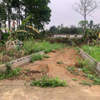 Bán Gấp 100M2 Full Thổ Cư Tiểu Khu Đồng Bái - Thị Trấn Lương Sơn Giá Siêu Tốt Trong Khu Vực