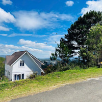 Bán Gấp Lô Đất View Thông Đẹp Kqh Viện Hạt Nhân Phường 11 Đà Lạt (224M2) 16.5 Tỷ