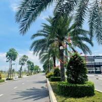 Đừng Chờ Khi Cơ Hội Đang Gõ Cửa, Long Thành Đất Vàng Của Tương Lai