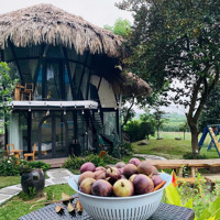 Bán Gấp Khu Nghỉ Dưỡng Đẳng Cấp Vân Hòa, Ba Vì Nhà Vườn, Bungalow, Hồ Bơi, Sẵn Sổ
