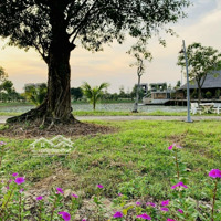 Bán Nhanh Đất Nền Dự Án Tại Kđt Làng Sen Việt Nam, 1,15 Tỷ, 77,2 M2, Uy Tín
