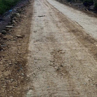 Ccg Bán Đất Vườn Kênh 4 Xã Bình Lợi, Huyện Bình Chánh. Một Sẹc Đường Vườn Thơm