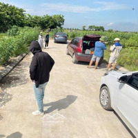 Bán Đất F0 Nhất Trai Minh Tân Lương Tài Bắc Ninh.diện Tích97M2,Mặt Tiền6M Đường Thông Ô Tô Vivu