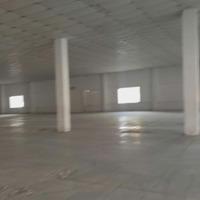 Cho Thuê Kho Xưởng 8.000M² Đường Nguyễn Hữu Trí, X. Tân Túc, Bình Chánh