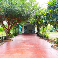 Nhà Mặt Tiền Đường Nhựa Tại Cam Thành Nam, Ô Tô Vào Tận Cửa, Thuận Tiện Kinh Danh, Pháp Lý Sổ Đỏ