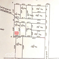 Cần Bán Đất Ngõ 172 Cát Linh, Tràng Cát 39M2 - 45,68M2 Giá Chỉ Từ 1.199 Tỷ