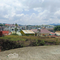 Đất Biệt Thự Quy Hoạch Full Thổ Cư.diện Tích391M2, Đường Nguyễn Siêu, P7, Đà Lạt. Giá Bán 6.5 Tỷ
