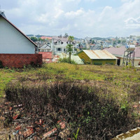 Đất Biệt Thự Quy Hoạch Full Thổ Cư.diện Tích391M2, Đường Nguyễn Siêu, P7, Đà Lạt. Giá Bán 6.5 Tỷ