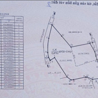 Đất 2 Mặt Tiền Gần Điểm Du Lịch Hot Mộc Châu Sổ Sẵn, Sang Tên Ngay!