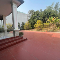 Bán Nhà Riêng 800M2, 4,999 Tỷ Tại Xã Chu Hóa, Việt Trì, Phú Thọ. Liên Hệ: 0965074589