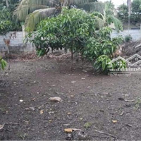 Đất Đường Nội Bộ Duyên Hải Thị Trấn Cần Thạnhdiện Tích16X32M Có 150M2 Thổ Cư Giá Bán 15 Tỷ