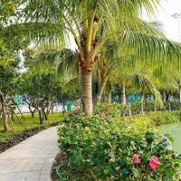 Chính Chủ Cần Bán Lô Góc Vị Trí Cực Đẹp Lk6 - 01 Amdi Việt Đoàn Bắc Ninh; Giá 3,5X Tỷ; Sổ Sẵn