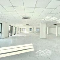 Chính Chủ Cho Thuê Nhà Mới Xây Thủ Khoa Huân Quận 1 Diện Tích 10 X 20M