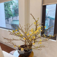 Bán Nhà Hoa Lâm-Long Biên-Gần Ngọc Lâm-Lô Góc,Oto Ngủ Trong Nhà,Ngõ Thông -Diện Tích 45Mx6 Tầng