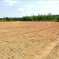 Cần Bán Gấp 3000M Đất Thuộc Tân Hòa, Đông Phú, Bình Phước Nơi Mà Nhiều Nhà Đầu Tư Quan Tâm