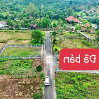 Bán Đất Lộc Sơn, Bảo Lộc, Lâm Đồng, 2,4 Tỷ, 336 M2, Giá Siêu Hời, Uy Tín