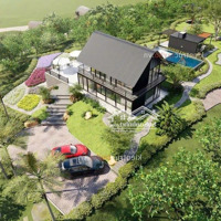 Bán Đất 20.000M² Khu Du Lịch Sinh Thái Đồi Cam Hữu Cơ Đầu Tư Lý Tưởng Cho Du Lịch Tổng Hợp
