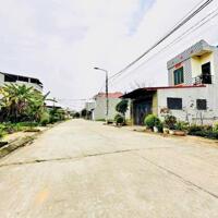 Bán đất phân lô tại Kim Long, Tam Dương, Vĩnh Phúc. Giá chỉ 1.78 tỷ 115m2