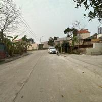 Bán đất phân lô tại Kim Long, Tam Dương, Vĩnh Phúc. Giá chỉ 1.78 tỷ 115m2