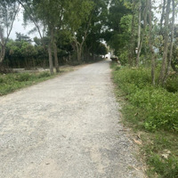 Cho Thuê Đất 1000M - Vị Trí Đắc Địa