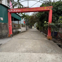 Bán Đất Tại Đường Nguyễn Quý Trị, Xã Kiêu Kỵ, Gia Lâm, Hà Nội, Gi Lâm, Hà Nội, Giá Tốt 5,2 Tỷ, 66M2