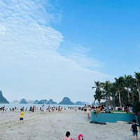 Giỏ Hàng Đầu Tư Tại Phương Đông Vân Đồn Quảng Ninh