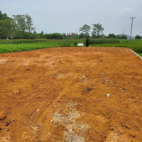 Chính Chủ Gả Bándiện Tích244M, Full Thổ Cư,Mặt Tiềntận 12M Nở Hậu Tại Phú Thọ. Liên Hệ: 0979534028