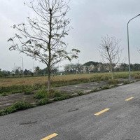 Đón Sóng Thi Công Đường Sân Bay Gia Bình Hà Nội.
Em Có 1 Lô Đất Dự Án Đầm Dê Đẹp Ko Lỗi Gì.