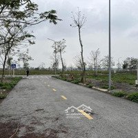 Đón Sóng Thi Công Đường Sân Bay Gia Bình Hà Nội.
Em Có 1 Lô Đất Dự Án Đầm Dê Đẹp Ko Lỗi Gì.