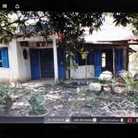 Cần Bán 3317,2M2 Đất Cln, Có 100M2 Thổ Cư Khu Vực Bình Nhựt, P. Long Hòa, Q. Bình Thủy, Cần Thơ