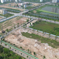 Ông Chồng Mải Mê Chơi X.ó.c Đ.ĩ.a Dẫn Đến L.y H.ô.n Nên Tôi Cần Bán 1 Lô Đất Giá Bán 11,5 Tỷ