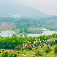 Hãy Mua Đi Khi Đất Bám Hồ Còn Rẻ Như Này. 4800M2 Có 400M2 Tc