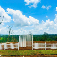 Lô Đất Nghỉ Dưỡng Siêu Hot Tại Di Linh Vị Trí Vàng, Sổ Hồng Riêng, Giá Chưa Đến 1 Tỷ!