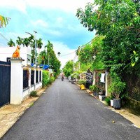 639M2 Đất Vườn Măng Cụt Tân Tan Thủ Dầu Một Bán Chỉ 2Tỷ990