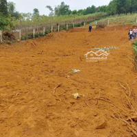 Giá Nào Cũng Bán Lô Đất Tại Minh Quang, Ba Vì.diện Tích1125M2. Liên Hệ: 0979534028