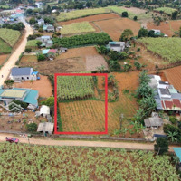 Cao Phong 2066M2 Có 770M2 Tc , Nằm Giữa Khu Đông Dân Cư, View Đẹp