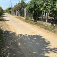 Lô đất 973m2 thổ cư Thôn Nam, Xã Ninh Tân, gần DT5, Giá chỉ 2.9 Tỷ